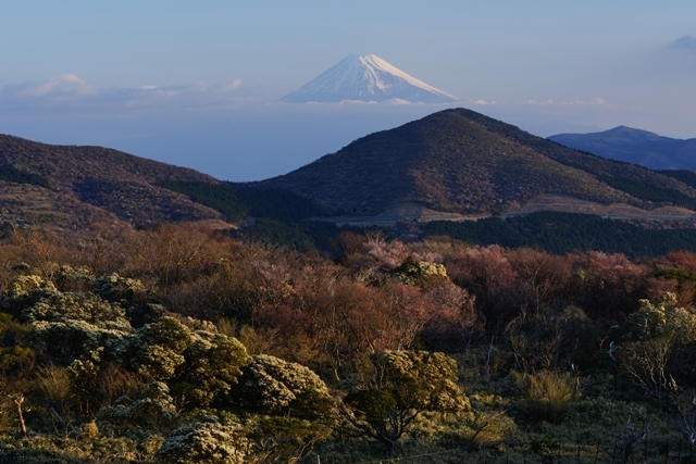 富士山画像作品