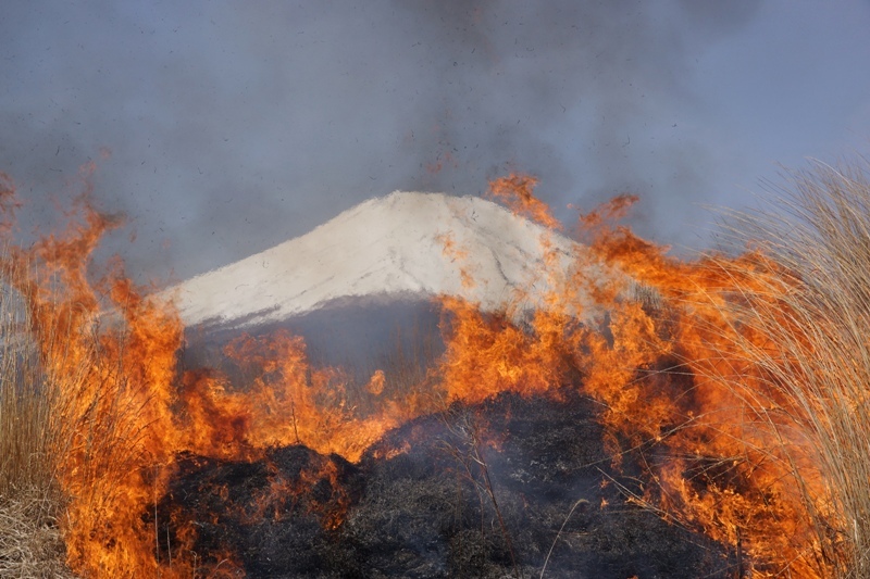 富士山画像記録