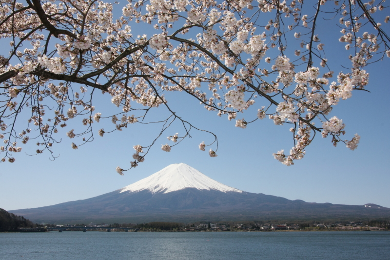 富士山画像記録