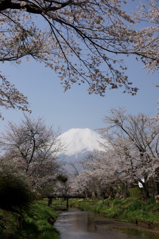 富士山画像記録