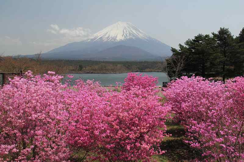 富士山画像記録