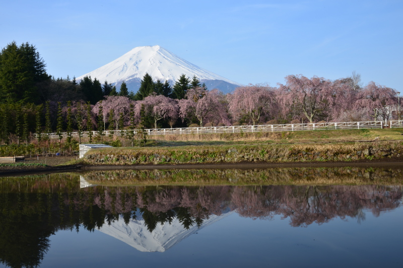 富士山画像記録