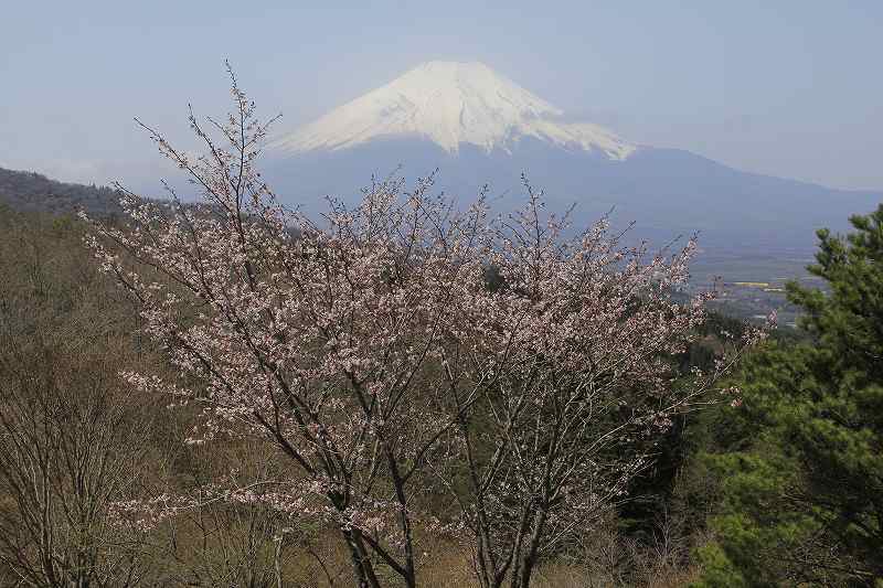 富士山画像記録