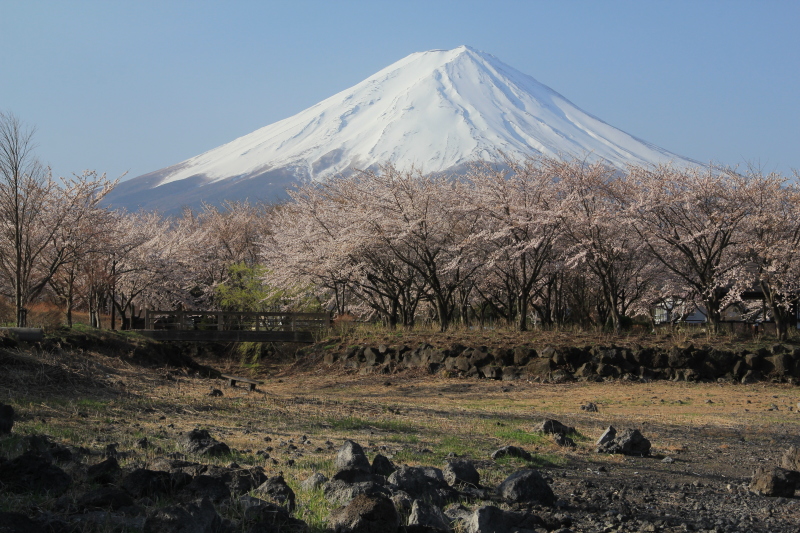 富士山画像記録