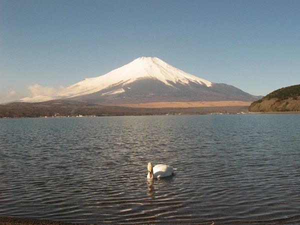 富士山画像記録