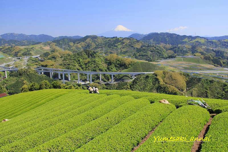 富士山画像記録