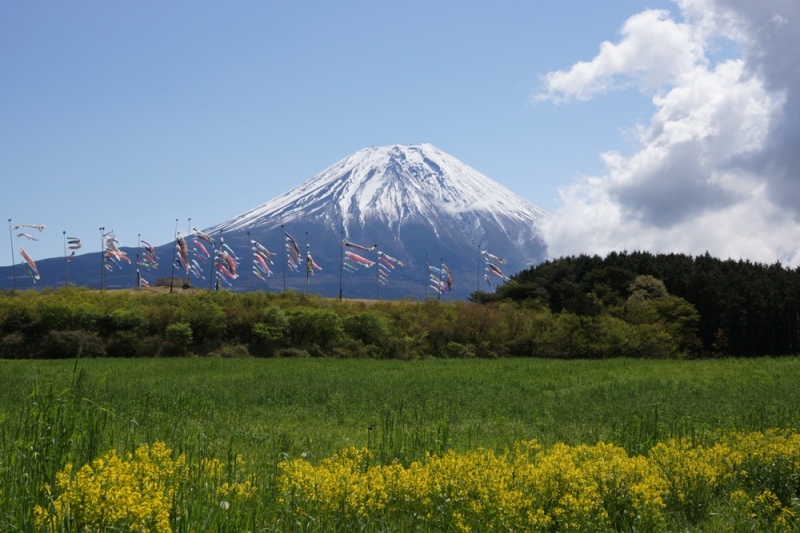 富士山画像作品