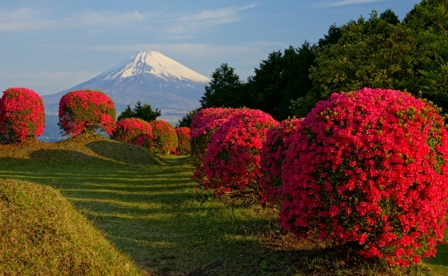 富士山画像作品