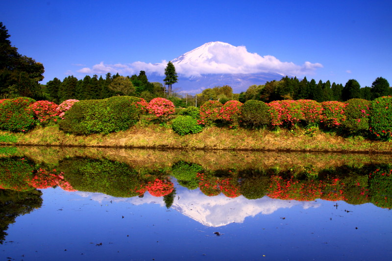 富士山画像記録