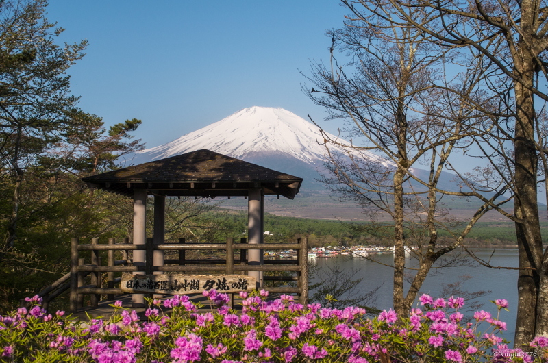 富士山画像記録