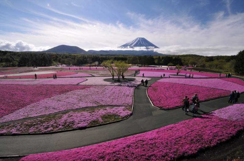 富士山画像記録