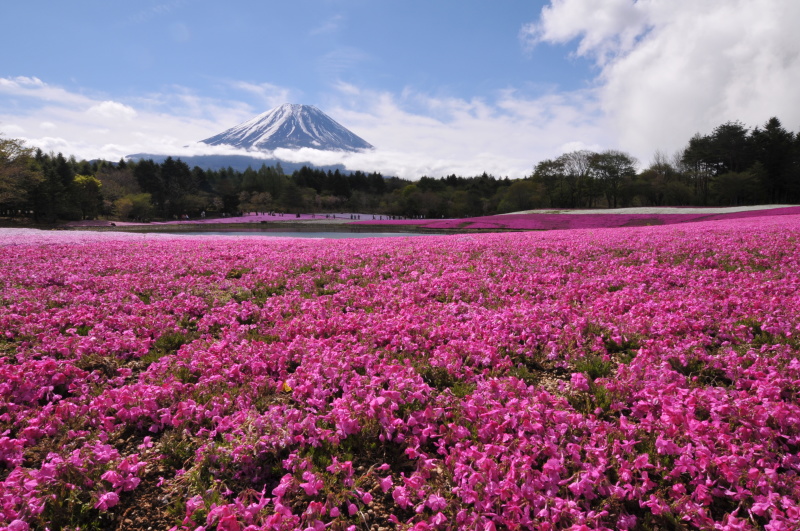 富士山画像記録