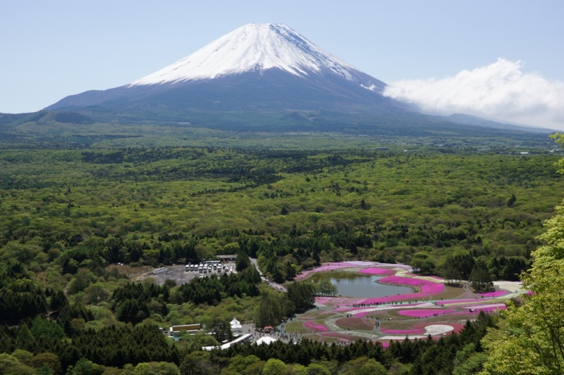 富士山画像記録