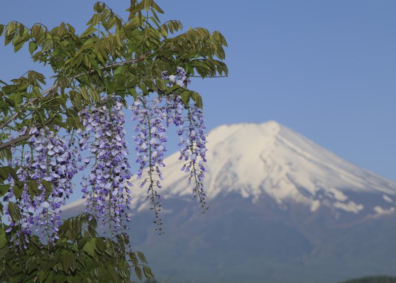 富士山画像作品