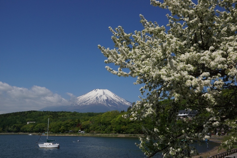 富士山画像記録