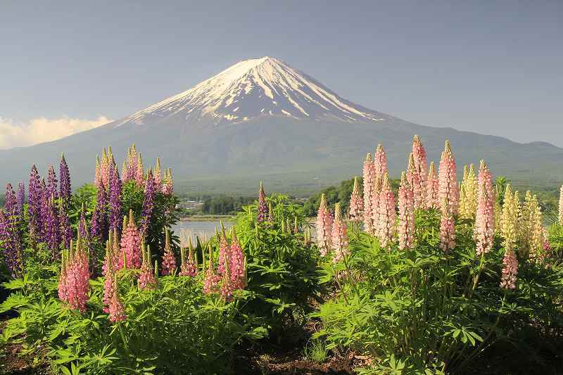 富士山画像記録