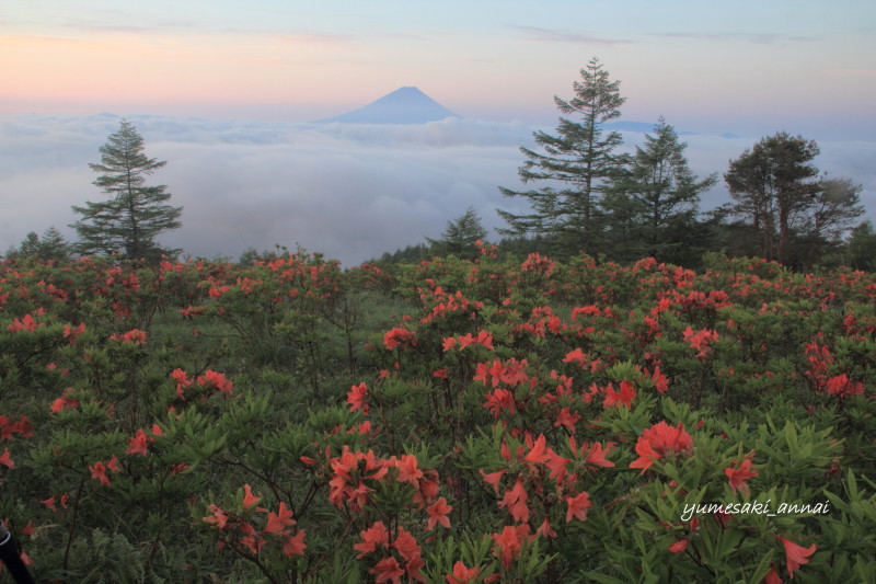 富士山画像記録