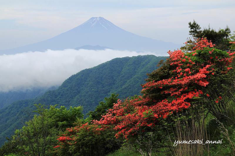 富士山画像記録