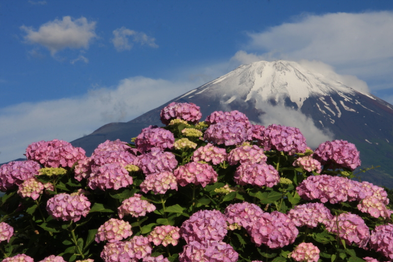 富士山画像作品