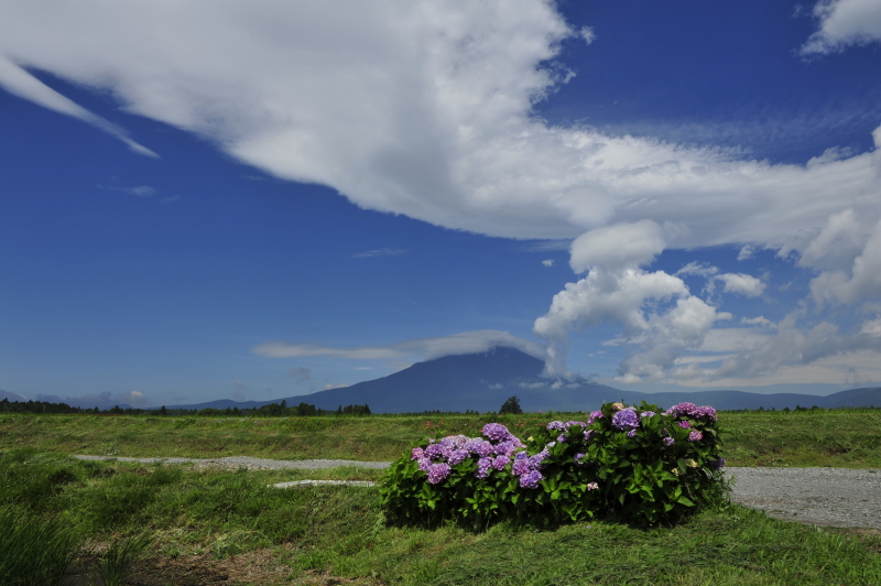 富士山画像作品