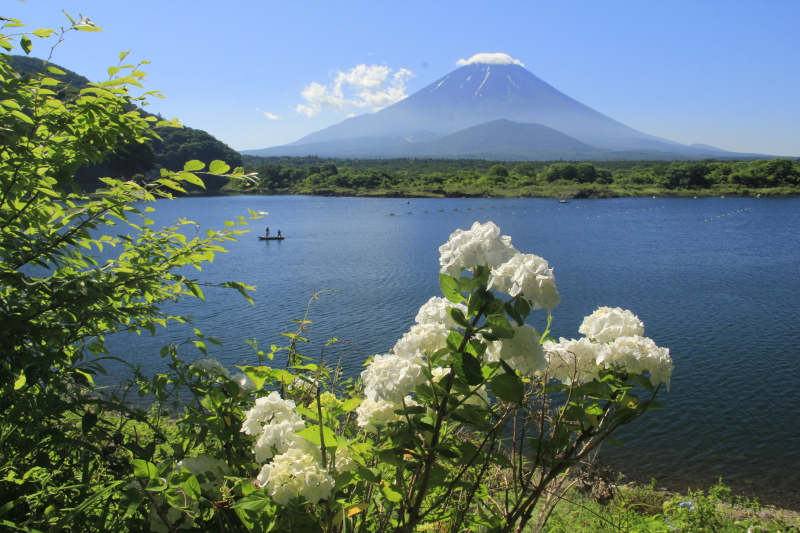 富士山画像記録