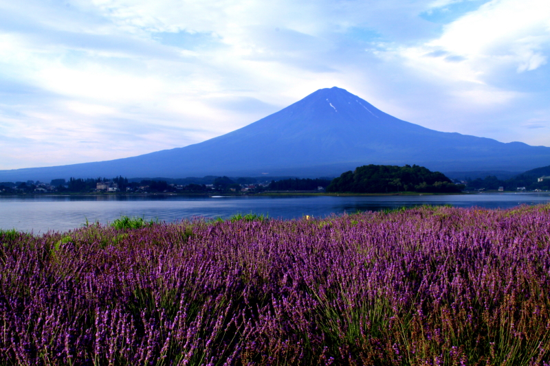 富士山画像記録