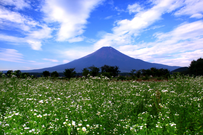 富士山画像記録