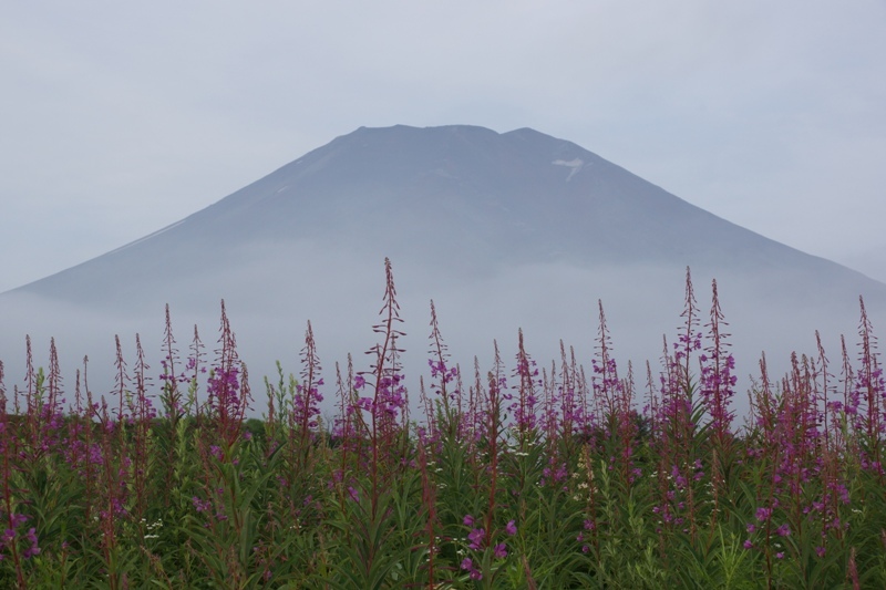 富士山画像作品