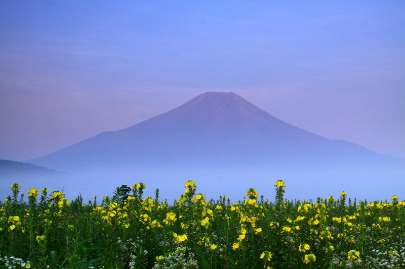 富士山画像記録