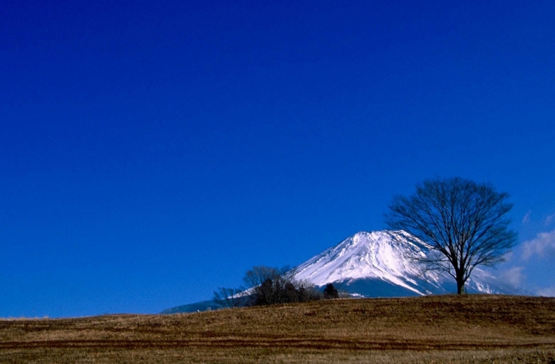 富士山画像作品