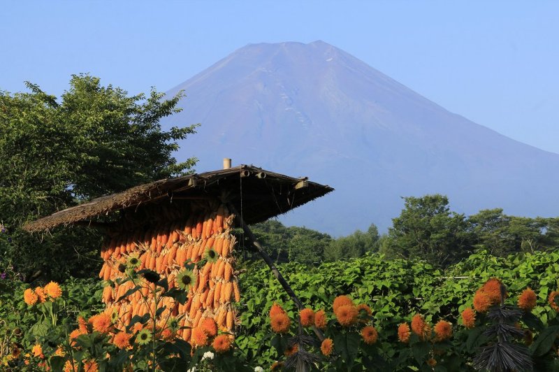 富士山画像記録