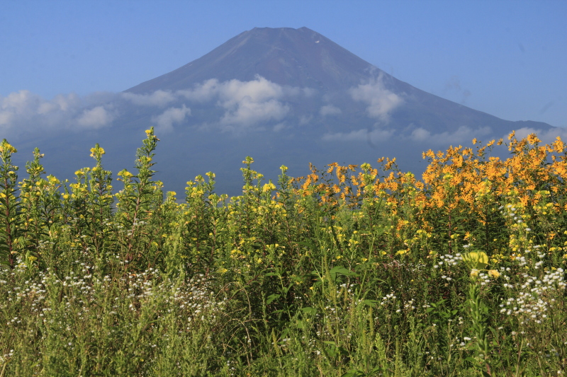 富士山画像記録