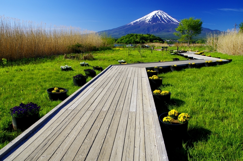 富士山画像作品