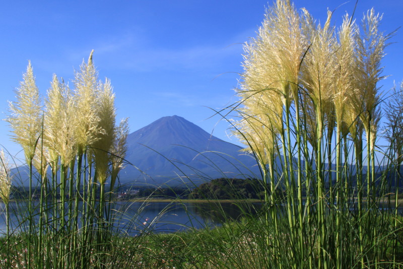 富士山画像記録