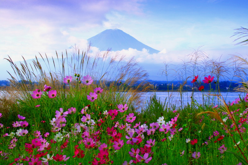 富士山画像記録