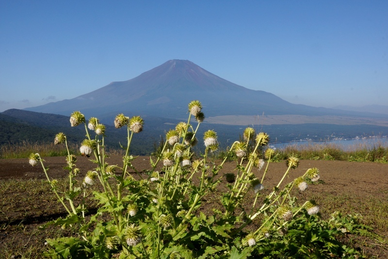 富士山画像記録