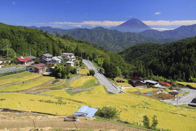 富士山画像記録