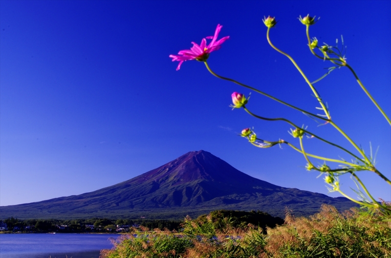 富士山画像作品