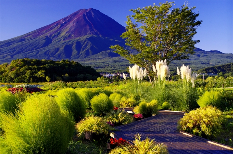 富士山画像作品