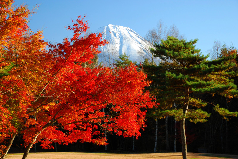 富士山画像作品