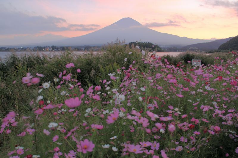 富士山画像記録