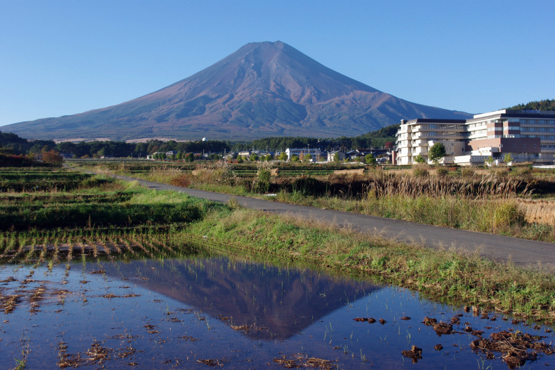 富士山画像作品