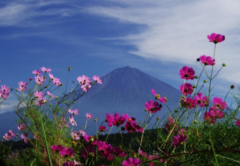 富士山画像作品