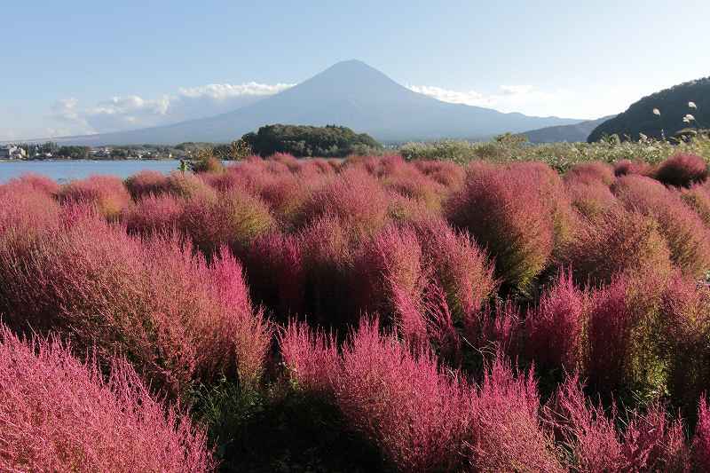 富士山画像記録