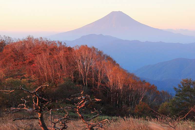 富士山画像記録