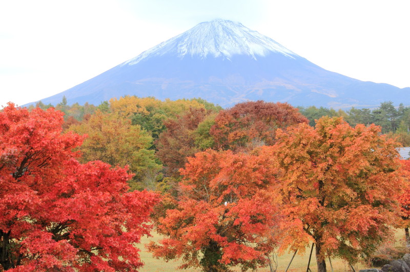 富士山画像記録