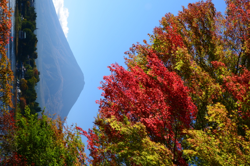 富士山画像記録