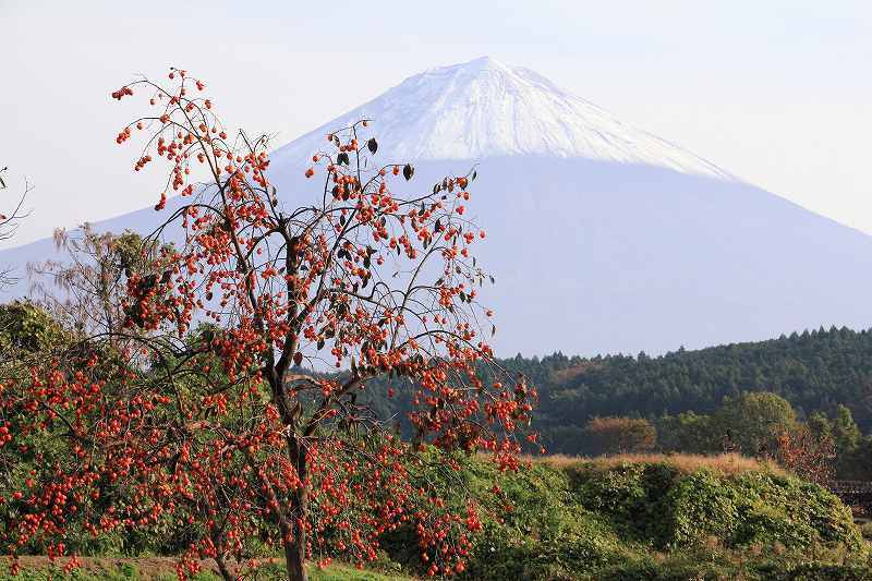 富士山画像記録