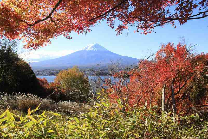 富士山画像記録