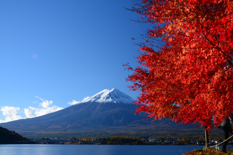 富士山画像記録